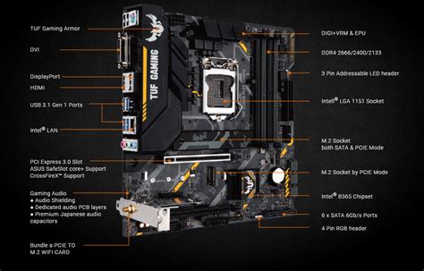 tuf b365m-plus gaming cpu compatibility|TUF B365M.